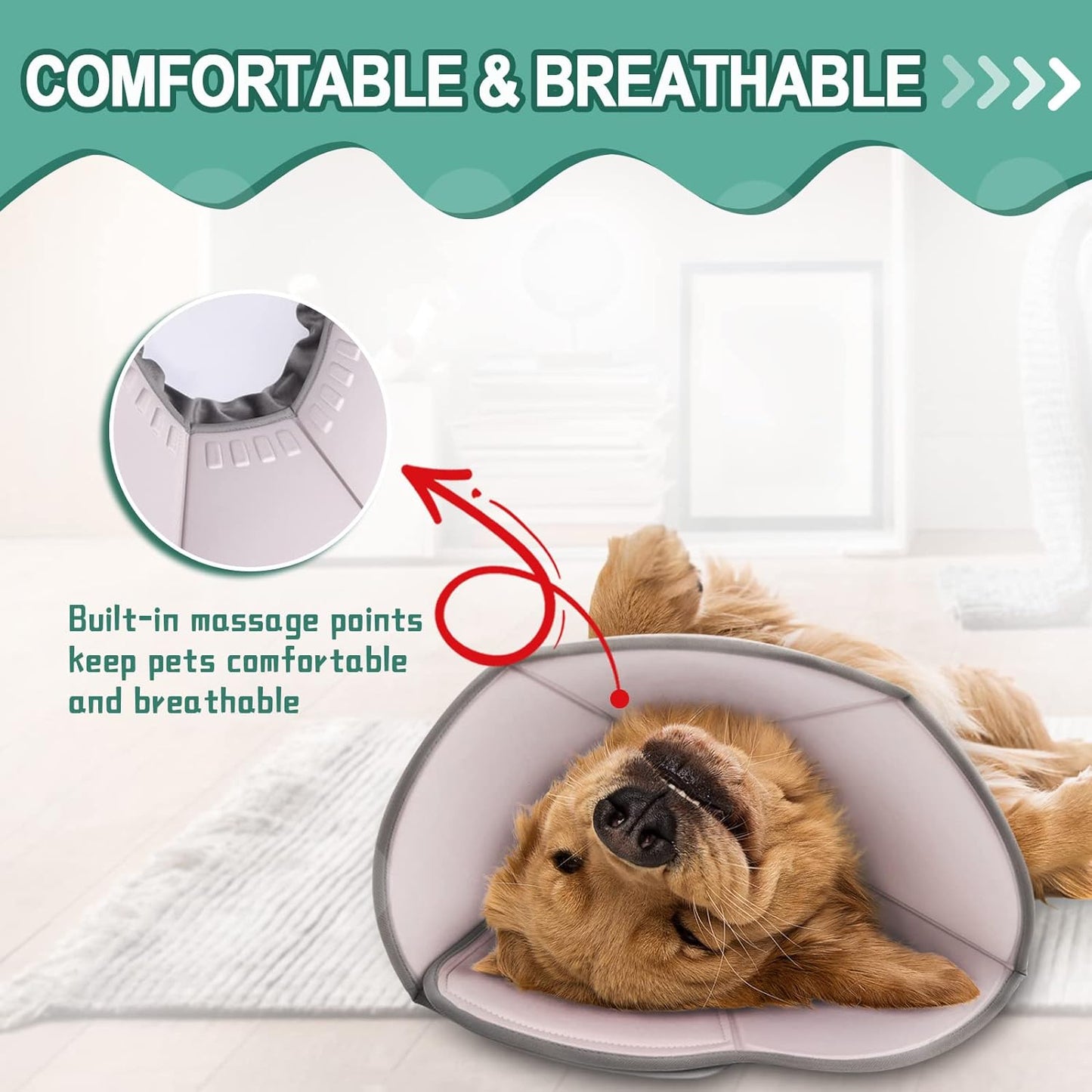 Cone for Dogs, Soft After-Surgery Recovery Protection from Scratching & Biting