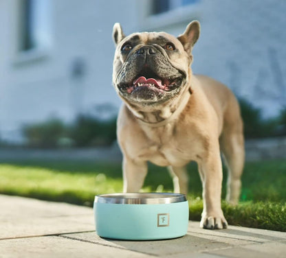 64oz Stainless Steel Pet Water / Food Bowl | Insulated Stay-Cool / Stay-Warm with Non-Slip Rubber Bottom, White & Black